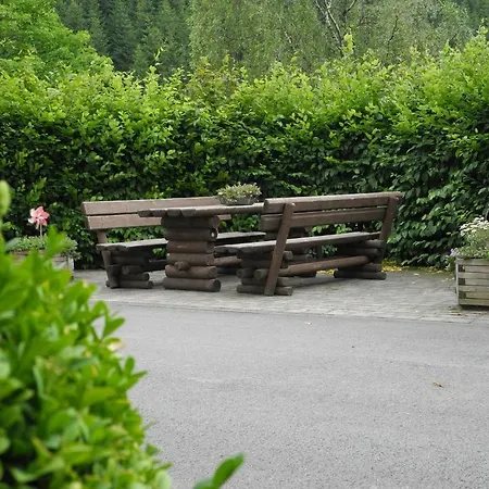 Ferienwohnung Schuette-Muehle Schmallenberg Værelse billede
